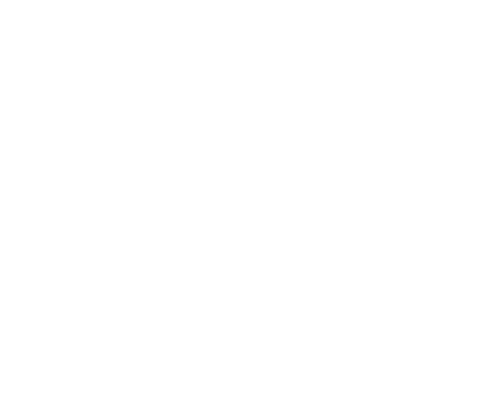 Nextgenlogolight